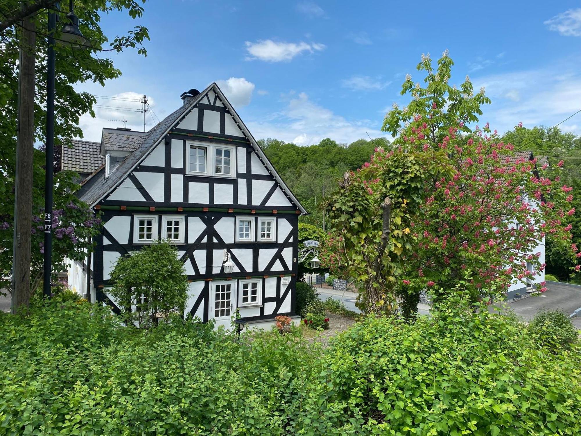 Bi Abbas Jong Apartman Freudenberg  Kültér fotó